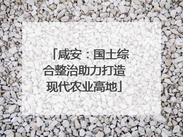 咸安：国土综合整治助力打造现代农业高地