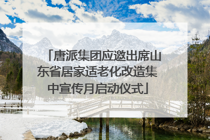 唐派集团应邀出席山东省居家适老化改造集中宣传月启动仪式