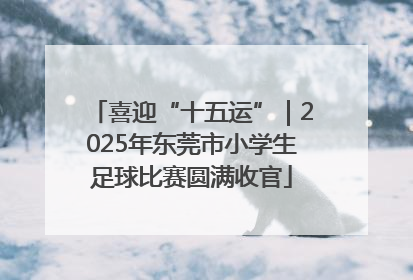 喜迎“十五运”｜2025年东莞市小学生足球比赛圆满收官