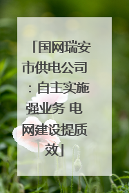 国网瑞安市供电公司：自主实施强业务 电网建设提质效