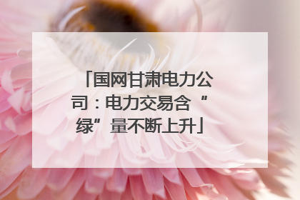 国网甘肃电力公司：电力交易含“绿”量不断上升