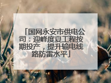 国网永安市供电公司：迎峰度夏工程按期投产，提升输电线路防雷水平