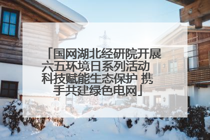 国网湖北经研院开展六五环境日系列活动 科技赋能生态保护 携手共建绿色电网
