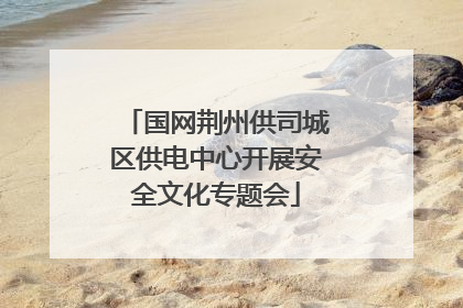 国网荆州供司城区供电中心开展安全文化专题会
