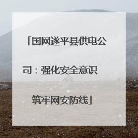 国网遂平县供电公司：强化安全意识 筑牢网安防线