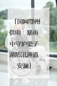 国网鄂州供电：暴雨中守护梁子湖防汛通道安澜