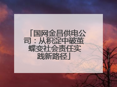国网金昌供电公司：从积淀中破茧 蝶变社会责任实践新路径