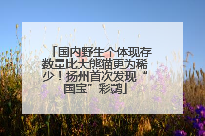 国内野生个体现存数量比大熊猫更为稀少！扬州首次发现“国宝”彩鹮