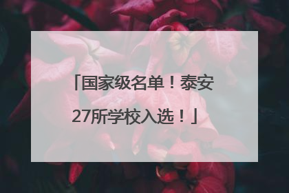 国家级名单！泰安27所学校入选！
