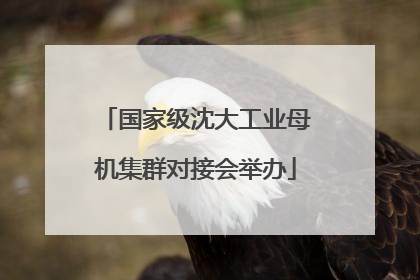 国家级沈大工业母机集群对接会举办