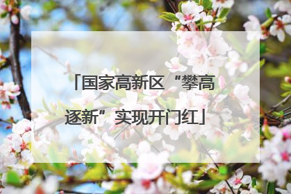 国家高新区“攀高逐新”实现开门红