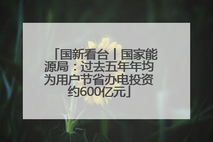 国新看台丨国家能源局：过去五年年均为用户节省办电投资约600亿元