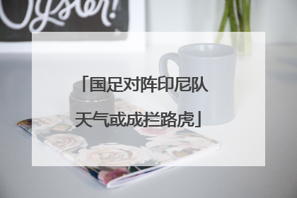 国足对阵印尼队 天气或成拦路虎