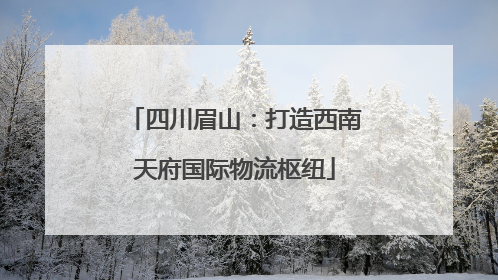 四川眉山：打造西南天府国际物流枢纽