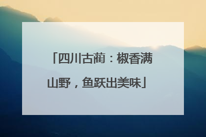 四川古蔺：椒香满山野，鱼跃出美味