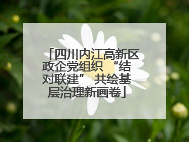 四川内江高新区政企党组织 “结对联建” 共绘基层治理新画卷