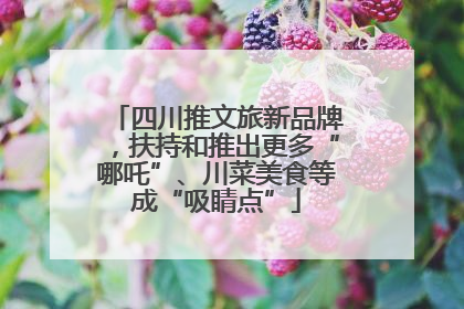 四川推文旅新品牌，扶持和推出更多“哪吒”、川菜美食等成“吸睛点”
