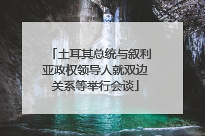 土耳其总统与叙利亚政权领导人就双边关系等举行会谈