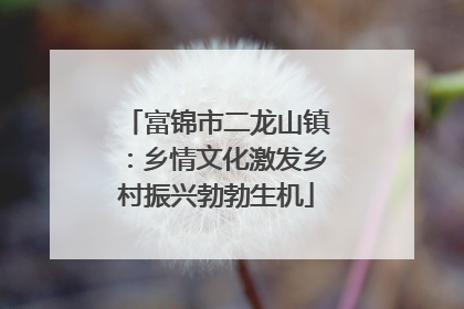 富锦市二龙山镇：乡情文化激发乡村振兴勃勃生机