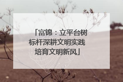 富锦：立平台树标杆深耕文明实践培育文明新风