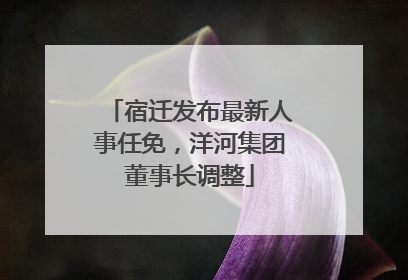 宿迁发布最新人事任免，洋河集团董事长调整