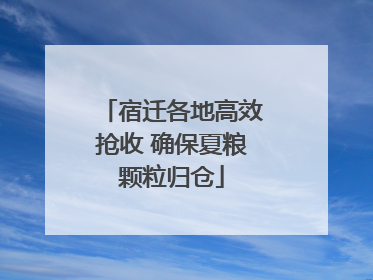 宿迁各地高效抢收 确保夏粮颗粒归仓