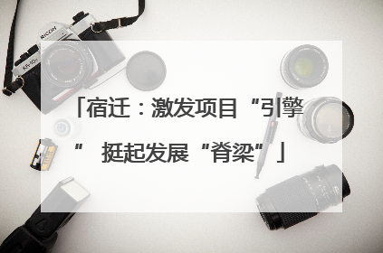 宿迁：激发项目“引擎” 挺起发展“脊梁”