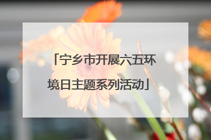 宁乡市开展六五环境日主题系列活动