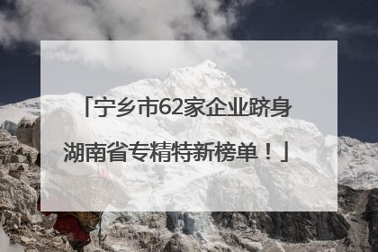 宁乡市62家企业跻身湖南省专精特新榜单！