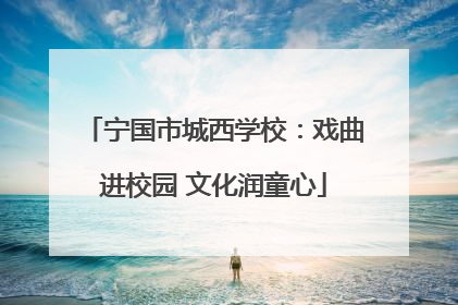 宁国市城西学校：戏曲进校园 文化润童心