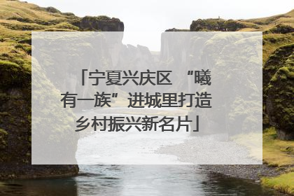 宁夏兴庆区 “曦有一族”进城里打造乡村振兴新名片