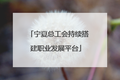 宁夏总工会持续搭建职业发展平台