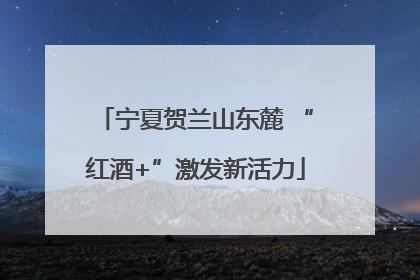 宁夏贺兰山东麓 “红酒+”激发新活力