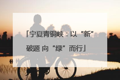 宁夏青铜峡：以“新”破题 向“绿”而行