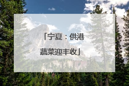 宁夏：供港蔬菜迎丰收