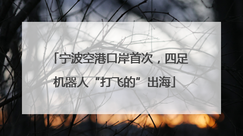 宁波空港口岸首次，四足机器人“打飞的”出海