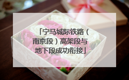 宁马城际铁路（南京段）高架段与地下段成功衔接
