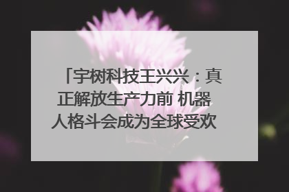 宇树科技王兴兴：真正解放生产力前 机器人格斗会成为全球受欢迎的赛事｜科技观察