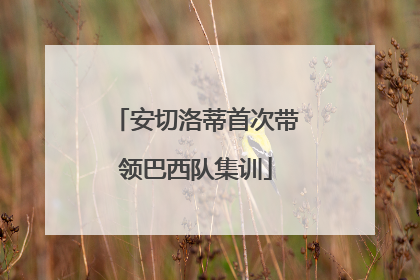 安切洛蒂首次带领巴西队集训