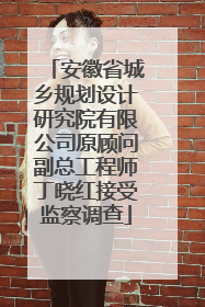 安徽省城乡规划设计研究院有限公司原顾问副总工程师丁晓红接受监察调查