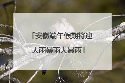安徽端午假期将迎大雨暴雨大暴雨