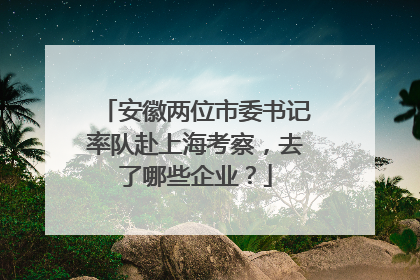 安徽两位市委书记率队赴上海考察，去了哪些企业？