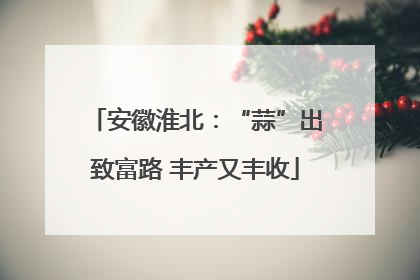 安徽淮北：“蒜”出致富路 丰产又丰收