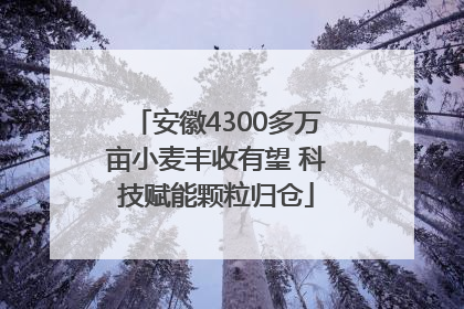 安徽4300多万亩小麦丰收有望 科技赋能颗粒归仓