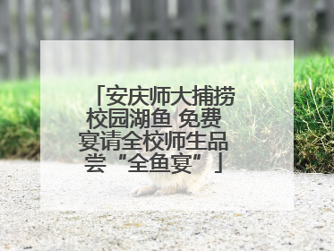 安庆师大捕捞校园湖鱼 免费宴请全校师生品尝“全鱼宴”