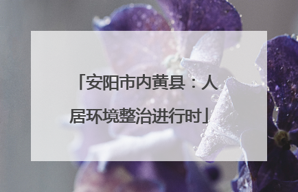 安阳市内黄县：人居环境整治进行时