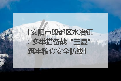 安阳市殷都区水冶镇：多举措备战“三夏” 筑牢粮食安全防线