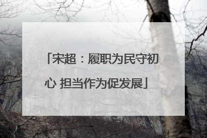 宋超：履职为民守初心 担当作为促发展
