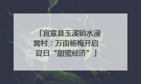 宜章县玉溪镇水浸窝村：万亩杨梅开启夏日“甜蜜经济”
