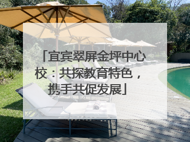 宜宾翠屏金坪中心校：共探教育特色，携手共促发展